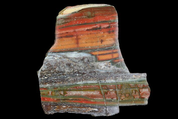 Stromatolite Slice - Pilbara, Australia ( Billion Years) #92647